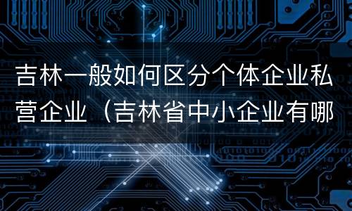 吉林一般如何区分个体企业私营企业（吉林省中小企业有哪些）
