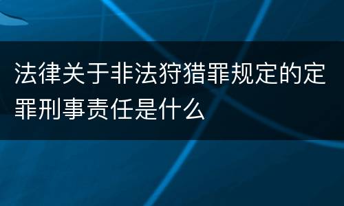 法律关于非法狩猎罪规定的定罪刑事责任是什么