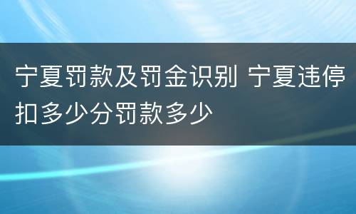 宁夏罚款及罚金识别 宁夏违停扣多少分罚款多少