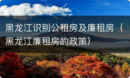 黑龙江识别公租房及廉租房（黑龙江廉租房的政策）
