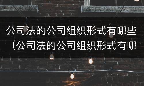 公司法的公司组织形式有哪些（公司法的公司组织形式有哪些特点）