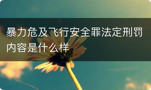暴力危及飞行安全罪法定刑罚内容是什么样