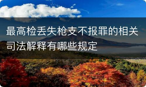 最高检丢失枪支不报罪的相关司法解释有哪些规定