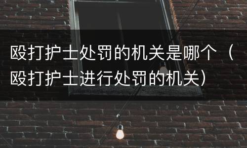 殴打护士处罚的机关是哪个（殴打护士进行处罚的机关）