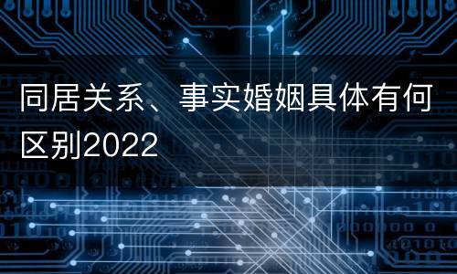 同居关系、事实婚姻具体有何区别2022