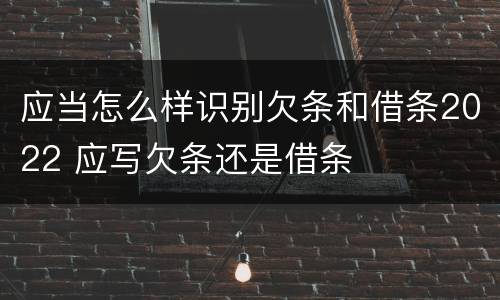 应当怎么样识别欠条和借条2022 应写欠条还是借条