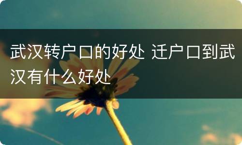 武汉转户口的好处 迁户口到武汉有什么好处