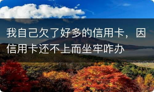 我自己欠了好多的信用卡，因信用卡还不上而坐牢咋办