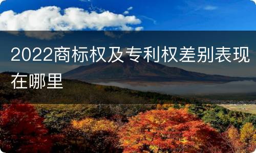 2022商标权及专利权差别表现在哪里