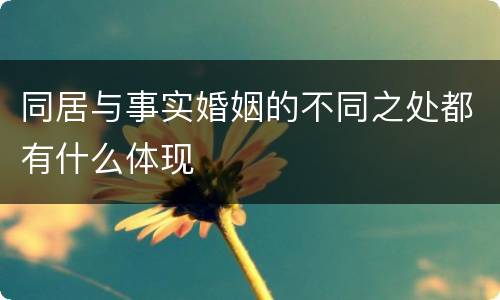 同居与事实婚姻的不同之处都有什么体现