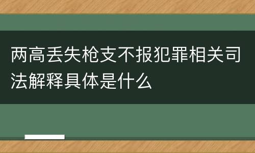两高丢失枪支不报犯罪相关司法解释具体是什么