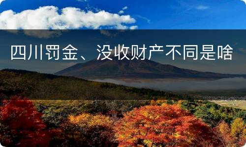 四川罚金、没收财产不同是啥