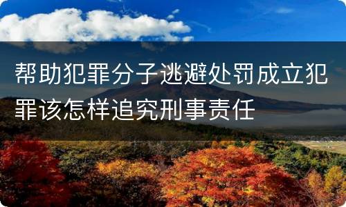 帮助犯罪分子逃避处罚成立犯罪该怎样追究刑事责任