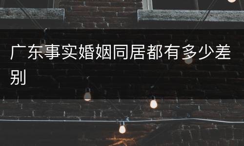 广东事实婚姻同居都有多少差别