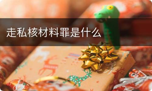 走私核材料罪是什么