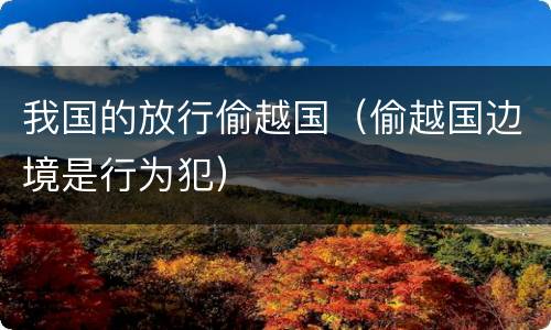 我国的放行偷越国（偷越国边境是行为犯）