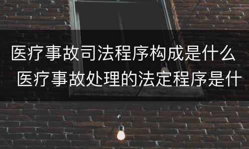 医疗事故司法程序构成是什么 医疗事故处理的法定程序是什么