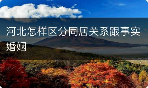 河北怎样区分同居关系跟事实婚姻