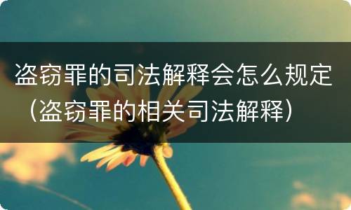 盗窃罪的司法解释会怎么规定（盗窃罪的相关司法解释）