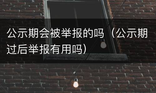 公示期会被举报的吗（公示期过后举报有用吗）