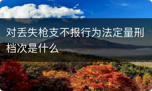 对丢失枪支不报行为法定量刑档次是什么