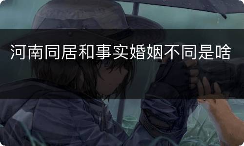 河南同居和事实婚姻不同是啥