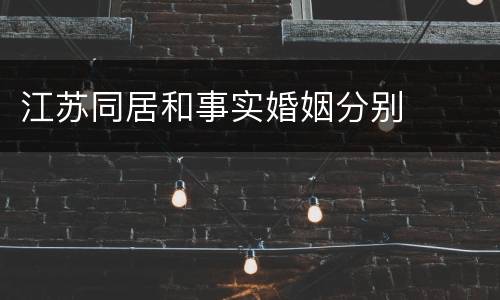 江苏同居和事实婚姻分别