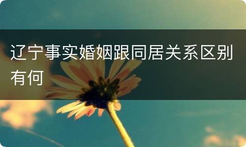 辽宁事实婚姻跟同居关系区别有何