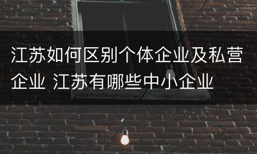 江苏如何区别个体企业及私营企业 江苏有哪些中小企业