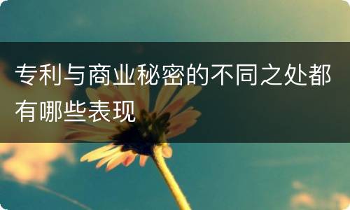 专利与商业秘密的不同之处都有哪些表现