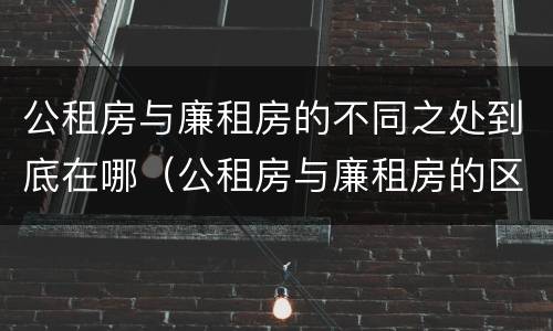 公租房与廉租房的不同之处到底在哪（公租房与廉租房的区别在哪里）