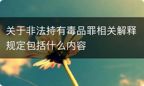 关于非法持有毒品罪相关解释规定包括什么内容