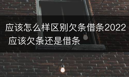 应该怎么样区别欠条借条2022 应该欠条还是借条