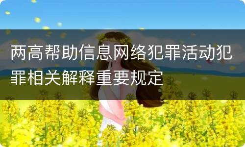 两高帮助信息网络犯罪活动犯罪相关解释重要规定