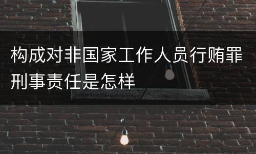 构成对非国家工作人员行贿罪刑事责任是怎样