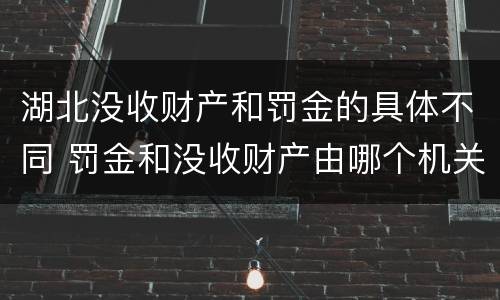 湖北没收财产和罚金的具体不同 罚金和没收财产由哪个机关执行
