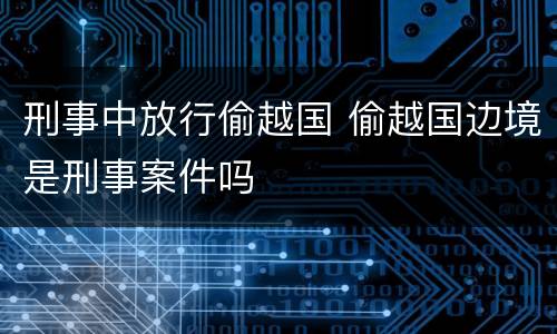 刑事中放行偷越国 偷越国边境是刑事案件吗