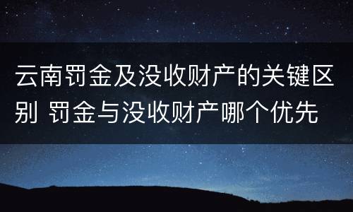 云南罚金及没收财产的关键区别 罚金与没收财产哪个优先