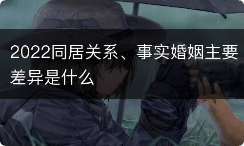 2022同居关系、事实婚姻主要差异是什么