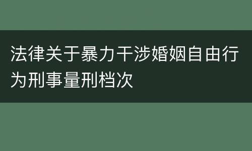法律关于暴力干涉婚姻自由行为刑事量刑档次