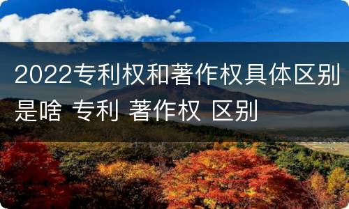 2022专利权和著作权具体区别是啥 专利 著作权 区别