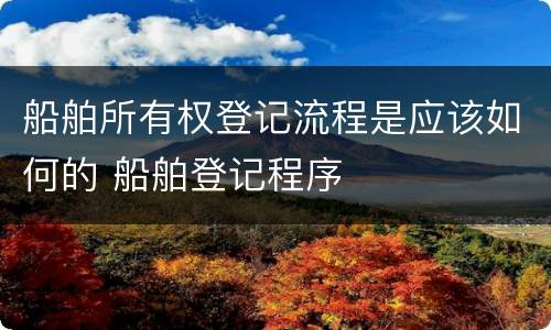 船舶所有权登记流程是应该如何的 船舶登记程序