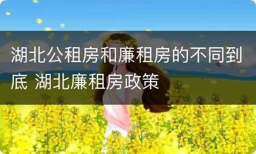 湖北公租房和廉租房的不同到底 湖北廉租房政策