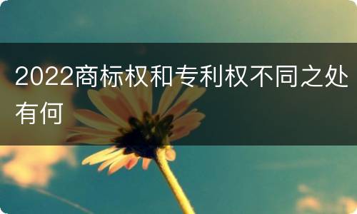 2022商标权和专利权不同之处有何