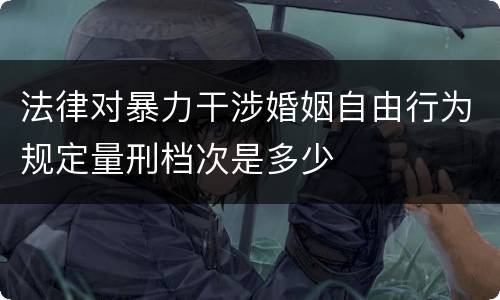 法律对暴力干涉婚姻自由行为规定量刑档次是多少