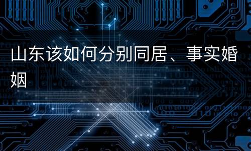 山东该如何分别同居、事实婚姻