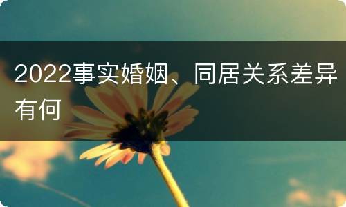 2022事实婚姻、同居关系差异有何