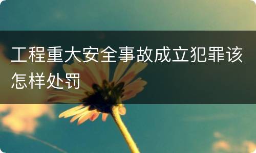 工程重大安全事故成立犯罪该怎样处罚