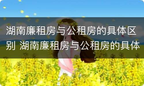 湖南廉租房与公租房的具体区别 湖南廉租房与公租房的具体区别在哪