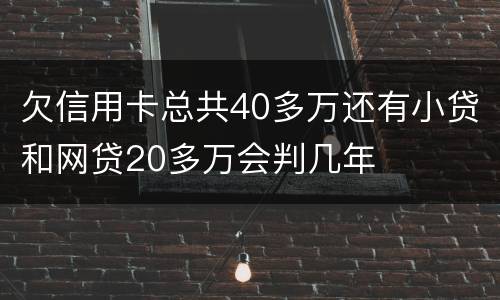 欠信用卡总共40多万还有小贷和网贷20多万会判几年